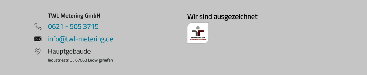 Screenshot des Footers twl-metering.de