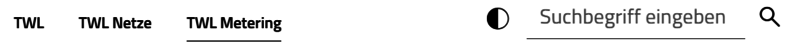 Screenshot der Metanavigation twl-metering.de
