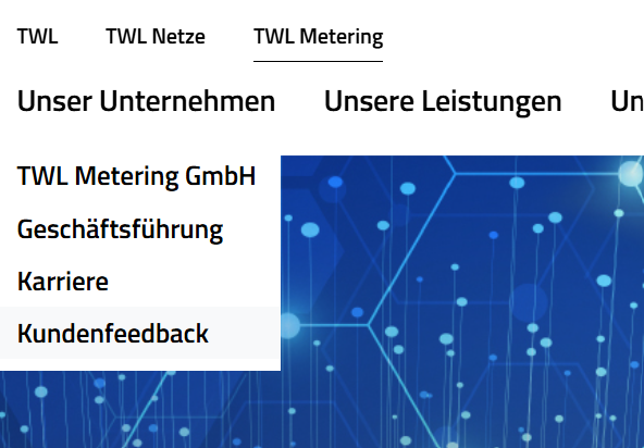 Screenshot des geöffneten Menüs twl-metering.de